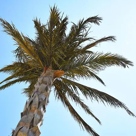 Troia Alezzi Beach *